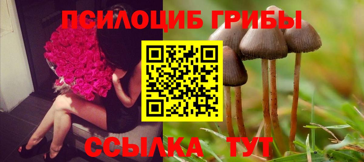 Кропоткин  Псилоцибиновые грибы GOLDEN TEACHER  Галлюциногенные грибы Psilocybe  Вход с VPN 